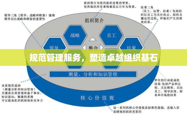 规范管理服务，塑造卓越组织基石
