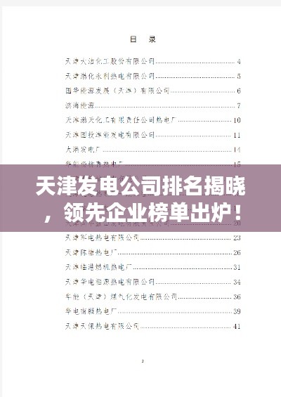 天津发电公司排名揭晓，领先企业榜单出炉！