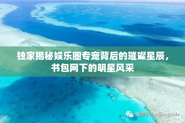 独家揭秘娱乐圈专宠背后的璀璨星辰，书包网下的明星风采