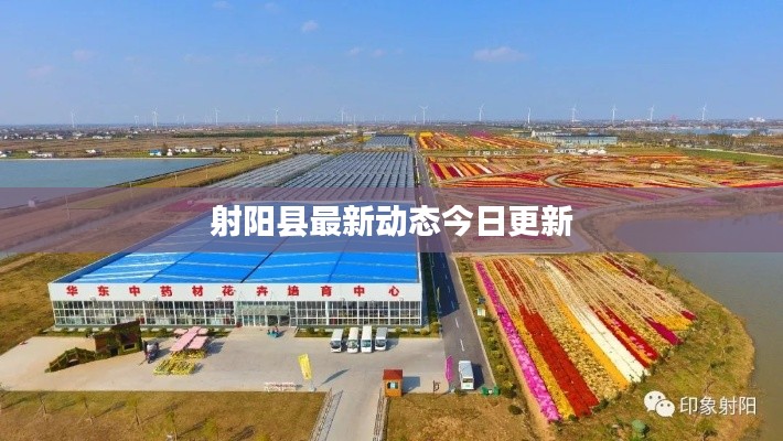 射阳县最新动态今日更新