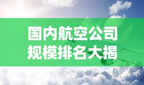 国内航空公司规模排名大揭秘，哪家航空公司独占鳌头？