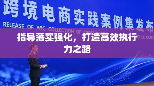 指导落实强化，打造高效执行力之路