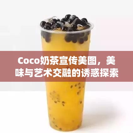 Coco奶茶宣传美图，美味与艺术交融的诱惑探索