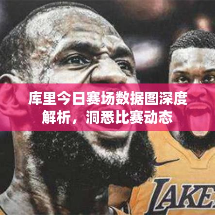 库里今日赛场数据图深度解析，洞悉比赛动态
