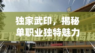 独家武印，揭秘单职业独特魅力