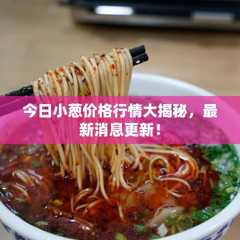 今日小葱价格行情大揭秘，最新消息更新！