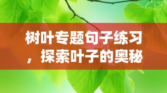 树叶专题句子练习，探索叶子的奥秘与魅力！