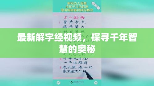 最新解字经视频，探寻千年智慧的奥秘