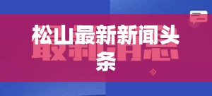 松山最新新闻头条