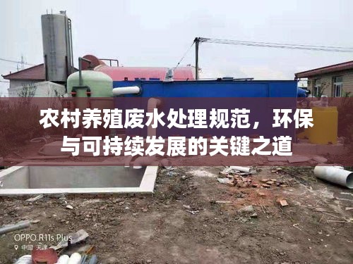 农村养殖废水处理规范，环保与可持续发展的关键之道