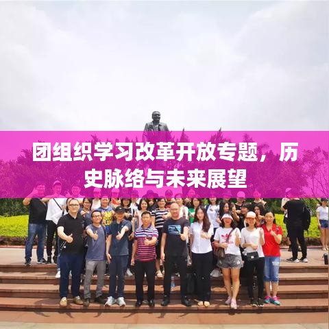 团组织学习改革开放专题，历史脉络与未来展望
