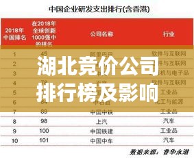 湖北竞价公司排行榜及影响力深度解析