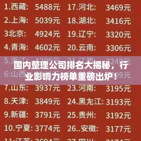 国内整理公司排名大揭秘，行业影响力榜单重磅出炉！