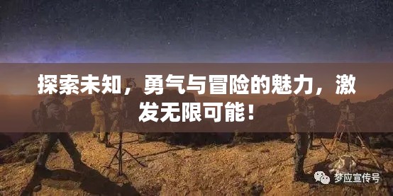 探索未知，勇气与冒险的魅力，激发无限可能！