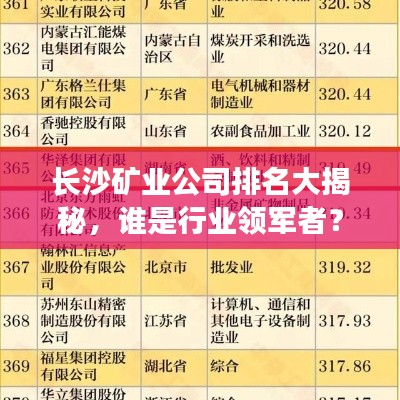 长沙矿业公司排名大揭秘，谁是行业领军者？