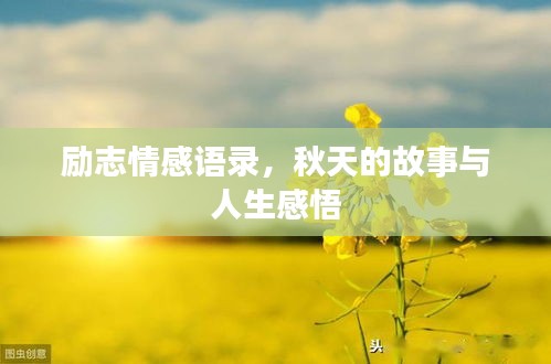 励志情感语录，秋天的故事与人生感悟