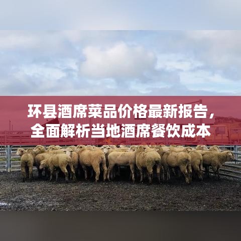 环县酒席菜品价格最新报告，全面解析当地酒席餐饮成本