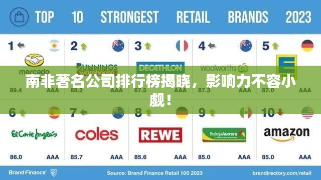 南非著名公司排行榜揭晓，影响力不容小觑！