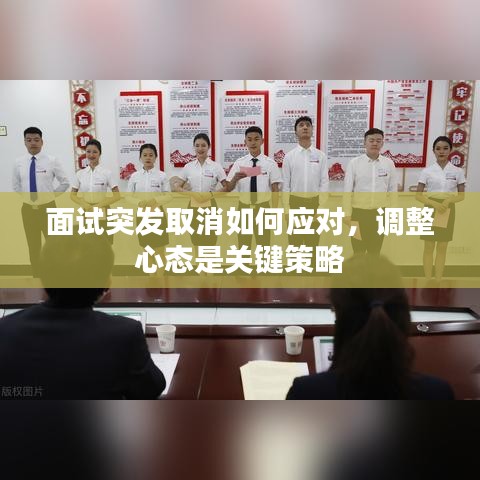 面试突发取消如何应对，调整心态是关键策略