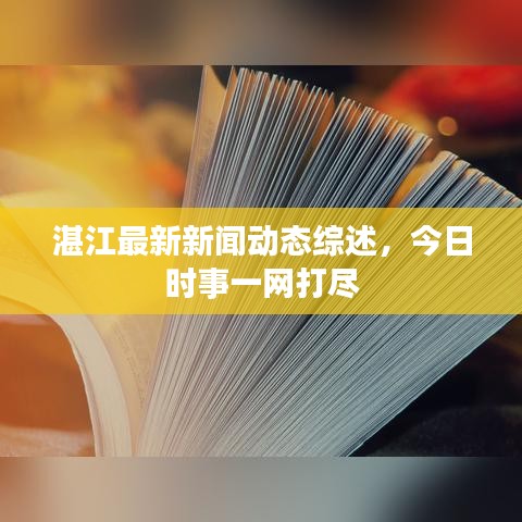 湛江最新新闻动态综述，今日时事一网打尽