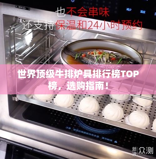 世界顶级牛排炉具排行榜TOP榜，选购指南！