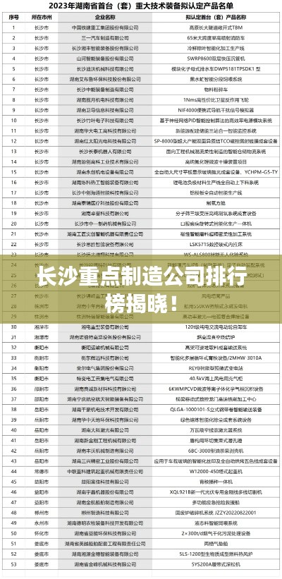 长沙重点制造公司排行榜揭晓！