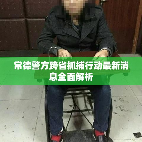 常德警方跨省抓捕行动最新消息全面解析
