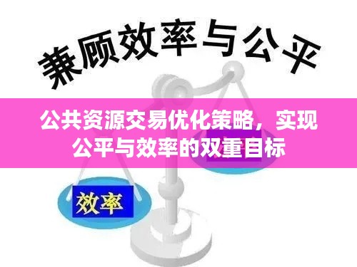 公共资源交易优化策略，实现公平与效率的双重目标