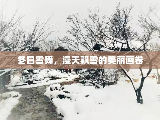 冬日雪舞，漫天飘雪的美丽画卷