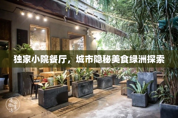 独家小院餐厅，城市隐秘美食绿洲探索