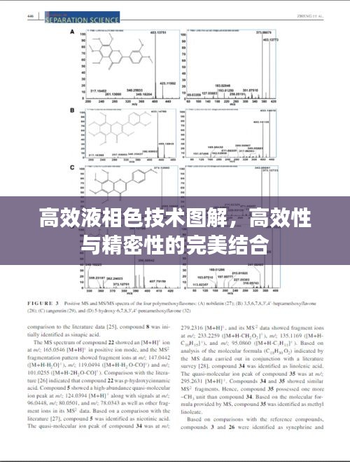 高效液相色技术图解，高效性与精密性的完美结合