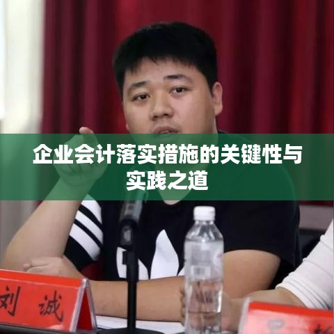 企业会计落实措施的关键性与实践之道