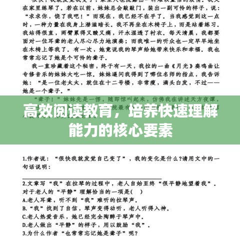 高效阅读教育，培养快速理解能力的核心要素