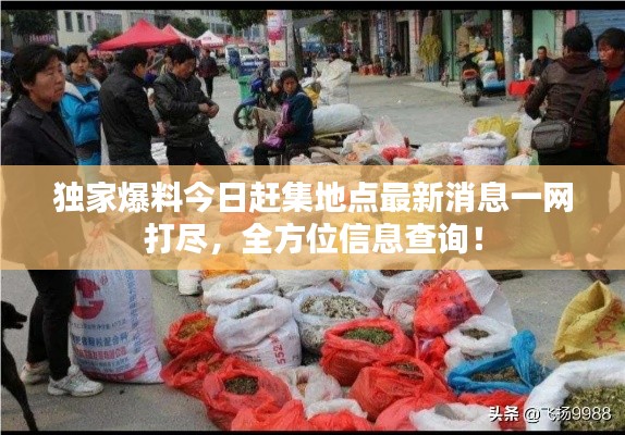 独家爆料今日赶集地点最新消息一网打尽，全方位信息查询！