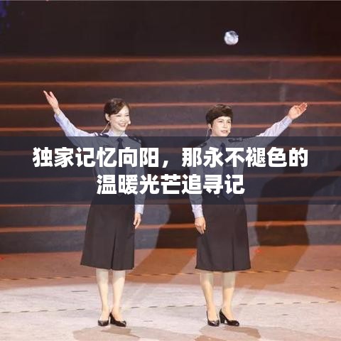 独家记忆向阳，那永不褪色的温暖光芒追寻记