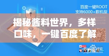 揭秘酱料世界，多样口味，一键百度了解