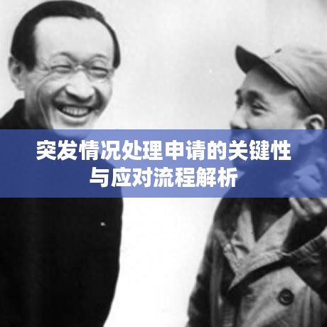 突发情况处理申请的关键性与应对流程解析
