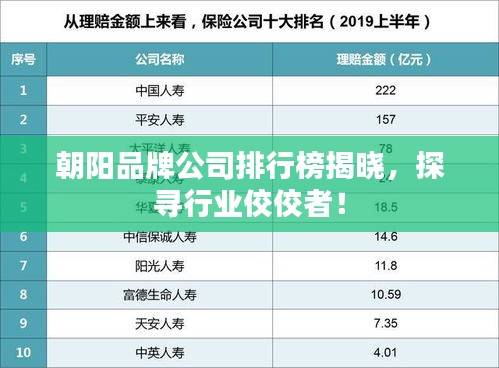 朝阳品牌公司排行榜揭晓，探寻行业佼佼者！