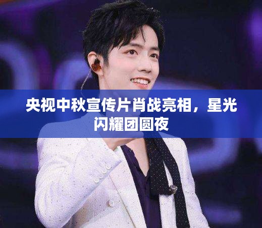 央视中秋宣传片肖战亮相，星光闪耀团圆夜