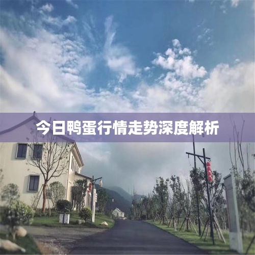 今日鸭蛋行情走势深度解析