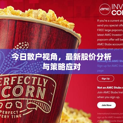 今日散户视角，最新股价分析与策略应对