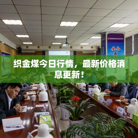 织金煤今日行情，最新价格消息更新！