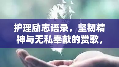 护理励志语录，坚韧精神与无私奉献的赞歌，触动心灵的力量！