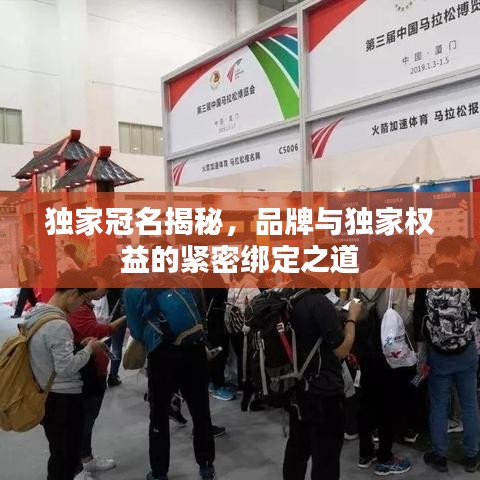 独家冠名揭秘，品牌与独家权益的紧密绑定之道