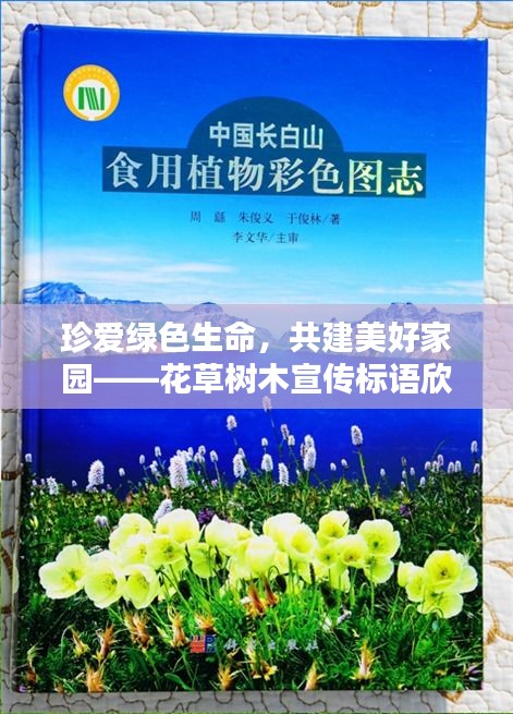 珍爱绿色生命，共建美好家园——花草树木宣传标语欣赏
