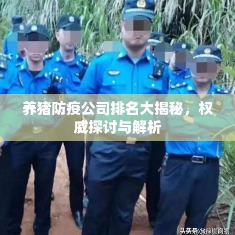 养猪防疫公司排名大揭秘，权威探讨与解析