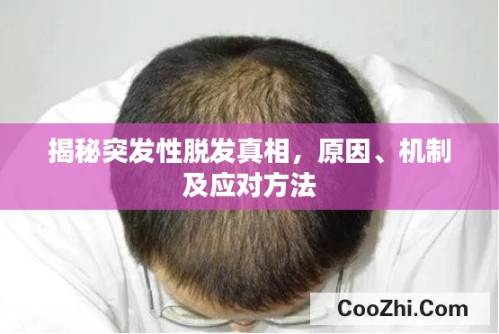 揭秘突发性脱发真相，原因、机制及应对方法
