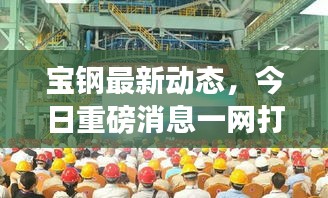 宝钢最新动态，今日重磅消息一网打尽