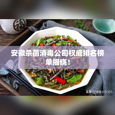 安徽杀菌消毒公司权威排名榜单揭晓！
