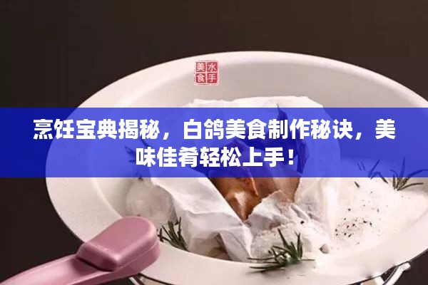 烹饪宝典揭秘，白鸽美食制作秘诀，美味佳肴轻松上手！
